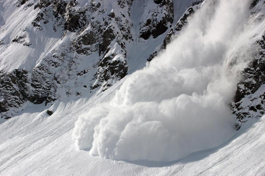 Raquette à neige Avalanche
