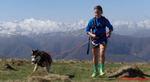 Cani trail Pyrénées - Husky Sibérien