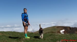 Cani trail Pyrénées - chiens Nordique