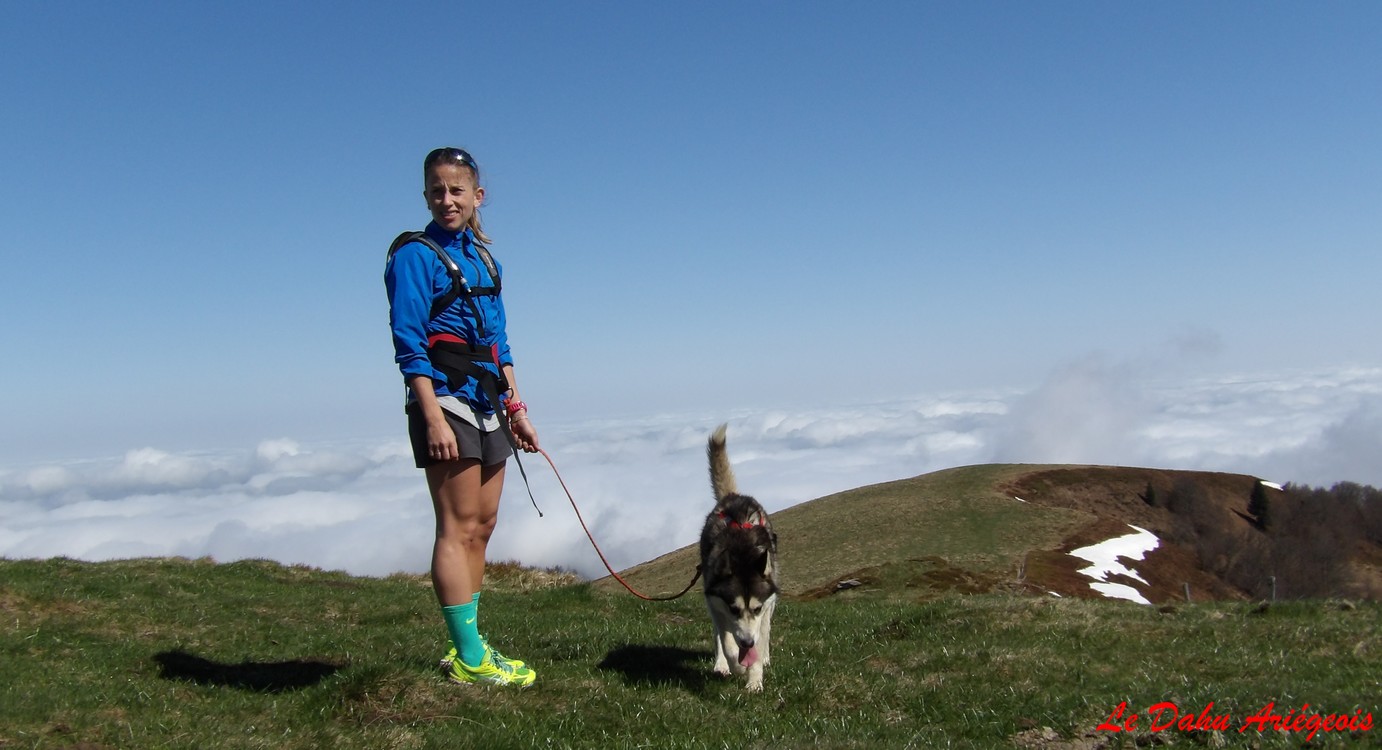 Cani trail Pyrénées - chiens Nordique