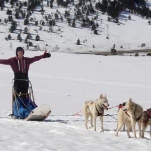 Initiation chiens de traineau Ariege