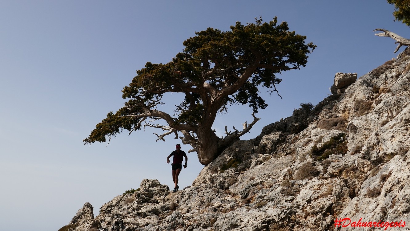 Crète - Pakhnes - Trail Arbre
