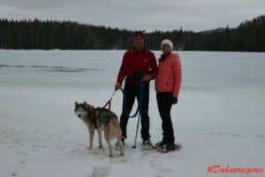 Etang glacé en Finlande avec un Husky