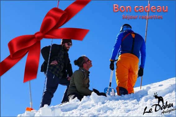 bon cadeau Stage survie hiver