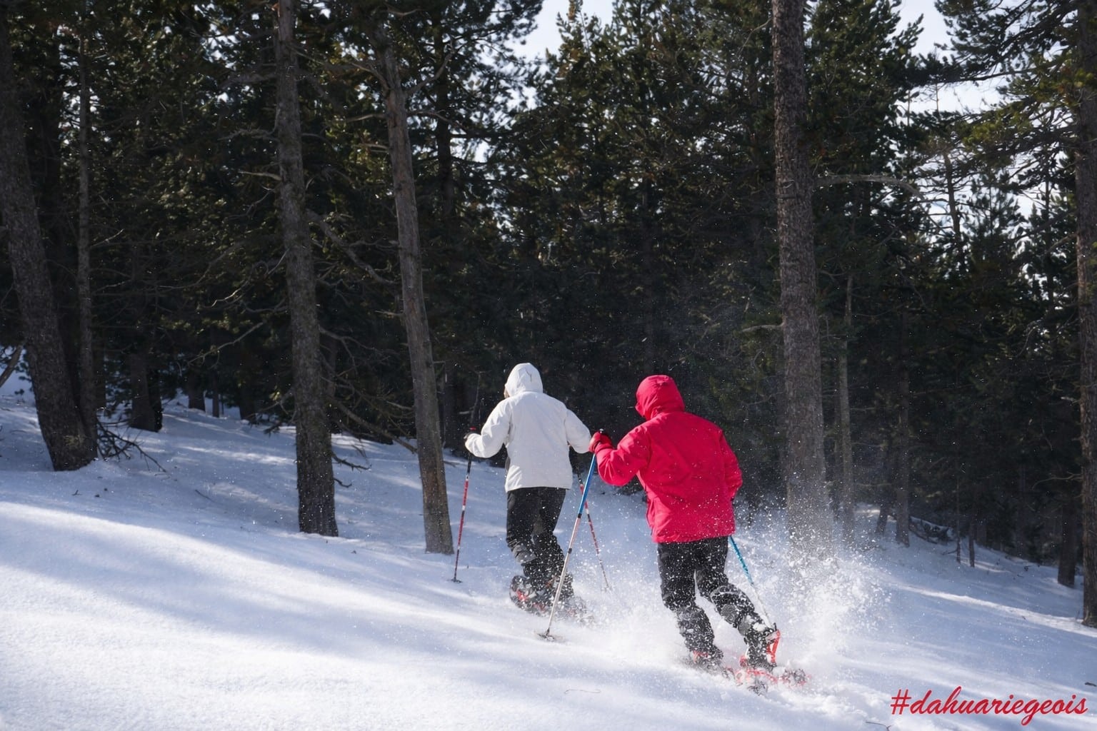 Séjour Dahu Ariègeois