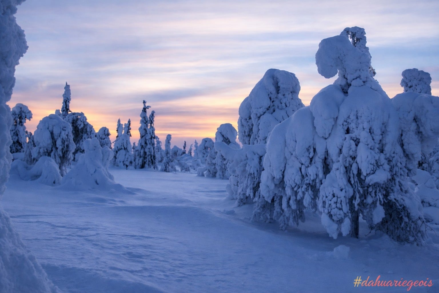 Séjour Raquette Dahu Ariegeois