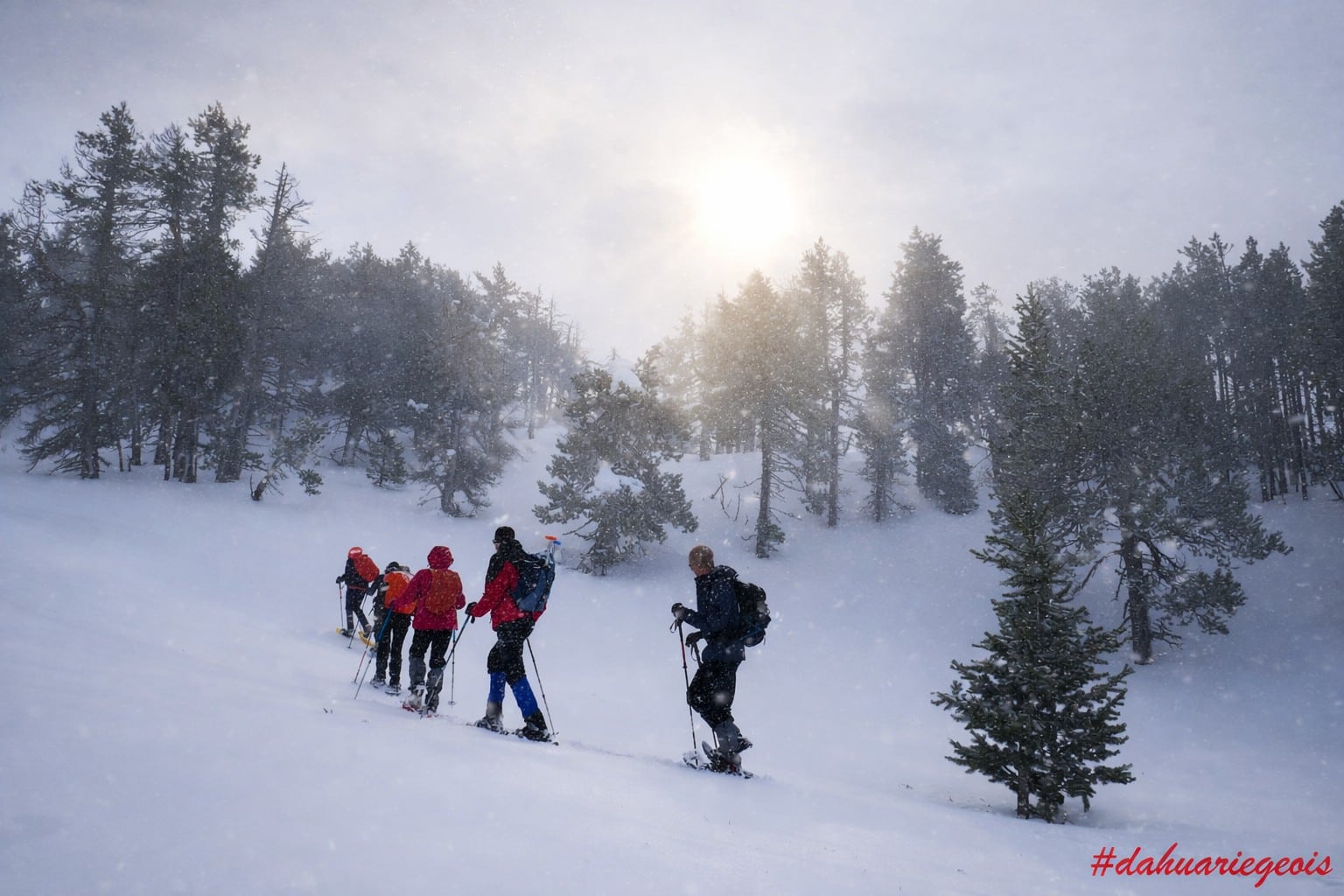 Séjour Dahu Ariegeois